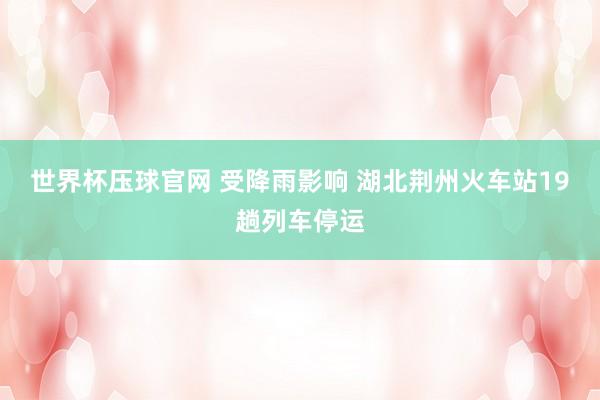 世界杯压球官网 受降雨影响 湖北荆州火车站19趟列车停运