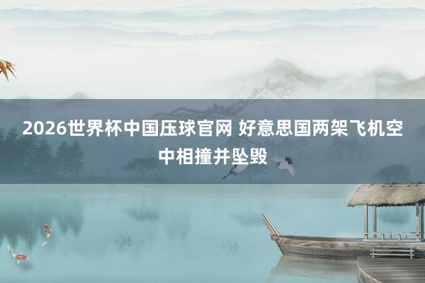 2026世界杯中国压球官网 好意思国两架飞机空中相撞并坠毁