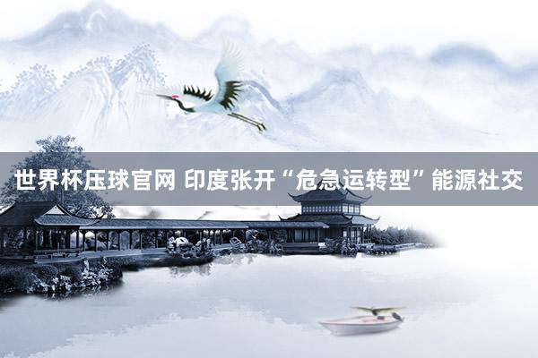 世界杯压球官网 印度张开“危急运转型”能源社交