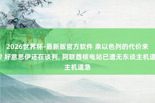 2026世界杯-最新版官方软件 亲以色列的代价来了? 好意思伊还在谈判， 阿联酋核电站已遭无东谈主机遑急