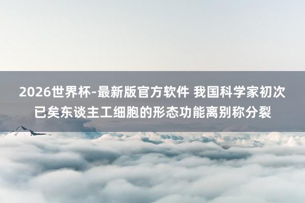 2026世界杯-最新版官方软件 我国科学家初次已矣东谈主工细胞的形态功能离别称分裂