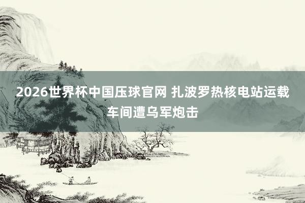 2026世界杯中国压球官网 扎波罗热核电站运载车间遭乌军炮击