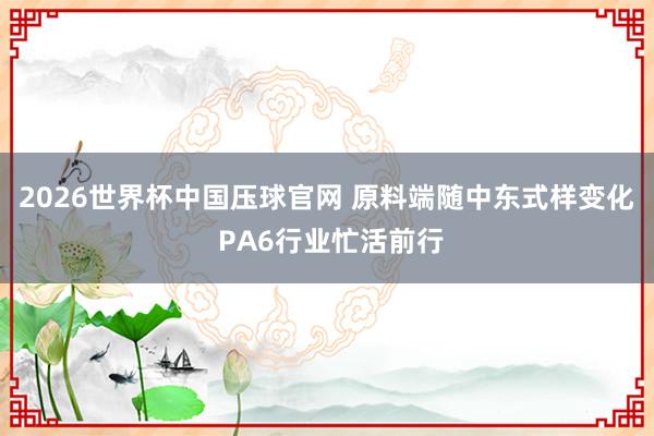 2026世界杯中国压球官网 原料端随中东式样变化 PA6行业忙活前行
