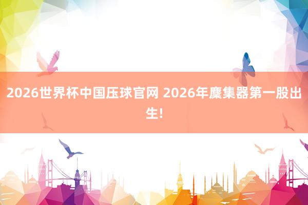 2026世界杯中国压球官网 2026年麇集器第一股出生!