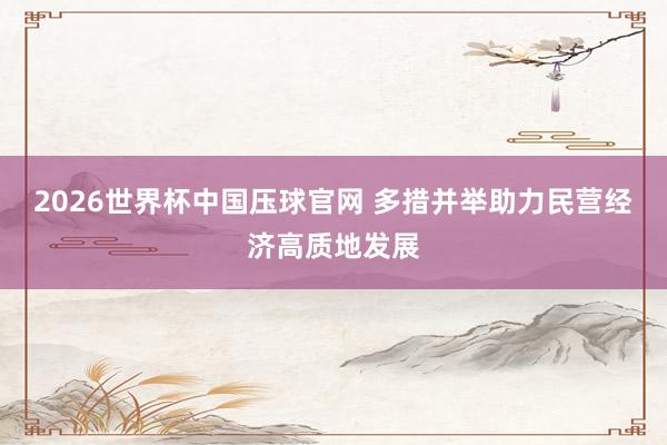 2026世界杯中国压球官网 多措并举助力民营经济高质地发展
