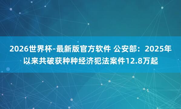 2026世界杯-最新版官方软件 公安部：2025年以来共破获种种经济犯法案件12.8万起