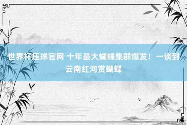 世界杯压球官网 十年最大蝴蝶集群爆发！一谈到云南红河赏蝴蝶