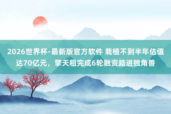 2026世界杯-最新版官方软件 栽植不到半年估值达70亿元，擎天租完成6轮融资踏进独角兽
