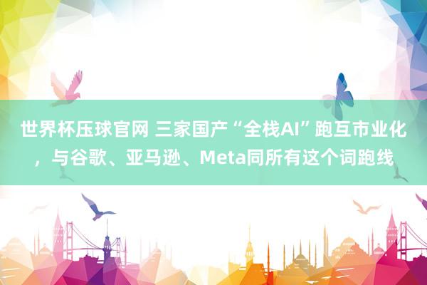 世界杯压球官网 三家国产“全栈AI”跑互市业化，与谷歌、亚马逊、Meta同所有这个词跑线