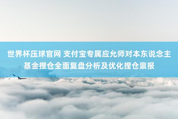世界杯压球官网 支付宝专属应允师对本东说念主基金捏仓全面复盘分析及优化捏仓禀报