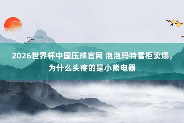 2026世界杯中国压球官网 泡泡玛特雪柜卖爆，为什么头疼的是小熊电器