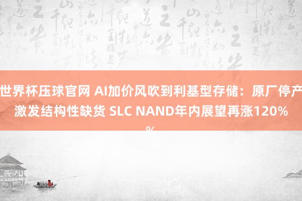 世界杯压球官网 AI加价风吹到利基型存储：原厂停产激发结构性缺货 SLC NAND年内展望再涨120%