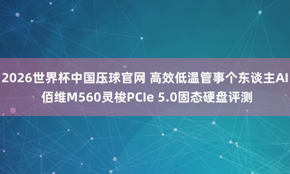 2026世界杯中国压球官网 高效低温管事个东谈主AI 佰维M560灵梭PCIe 5.0固态硬盘评测