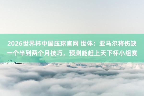 2026世界杯中国压球官网 世体：亚马尔将伤缺一个半到两个月技巧，预测能赶上天下杯小组赛