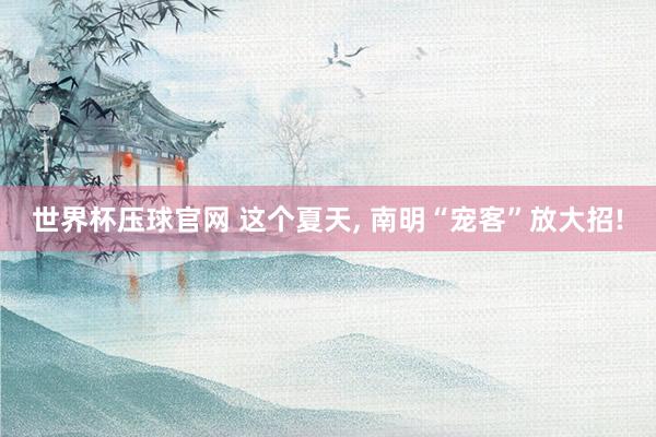 世界杯压球官网 这个夏天， 南明“宠客”放大招!