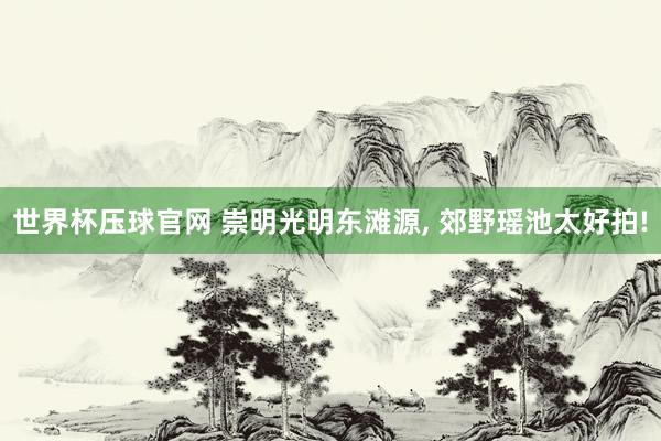 世界杯压球官网 崇明光明东滩源， 郊野瑶池太好拍!