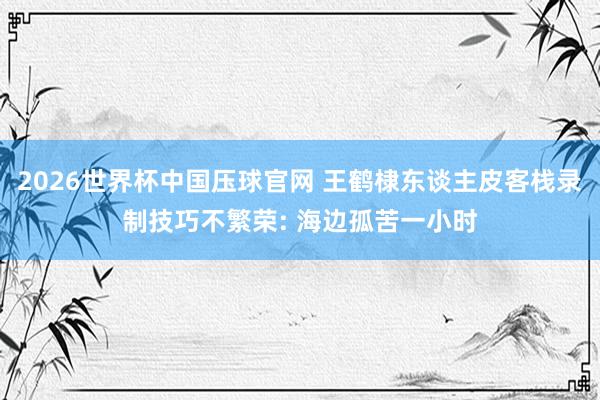 2026世界杯中国压球官网 王鹤棣东谈主皮客栈录制技巧不繁荣: 海边孤苦一小时