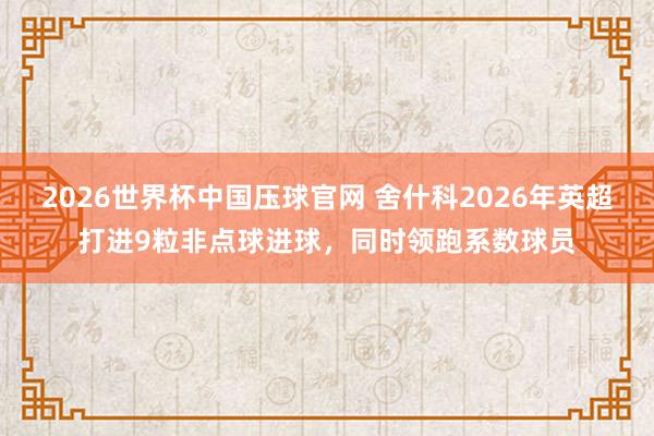 2026世界杯中国压球官网 舍什科2026年英超打进9粒非点球进球，同时领跑系数球员