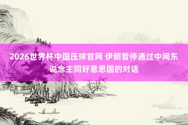 2026世界杯中国压球官网 伊朗暂停通过中间东说念主同好意思国的对话