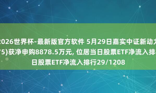 2026世界杯-最新版官方软件 5月29日嘉实中证新动力ETF(159875)获净申购8878.5万元， 位居当日股票ETF净流入排行29/1208