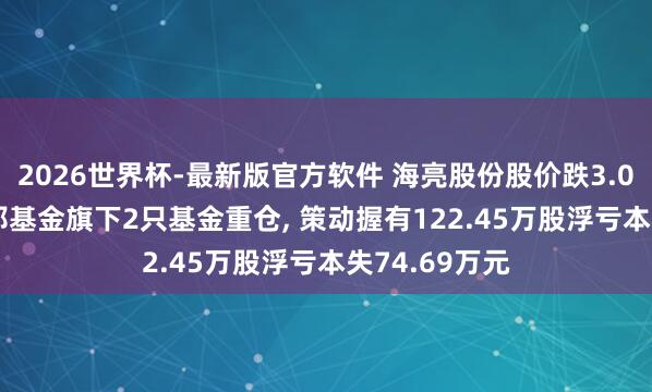 2026世界杯-最新版官方软件 海亮股份股价跌3.04%， 耿直富邦基金旗下2只基金重仓， 策动握有122.45万股浮亏本失74.69万元