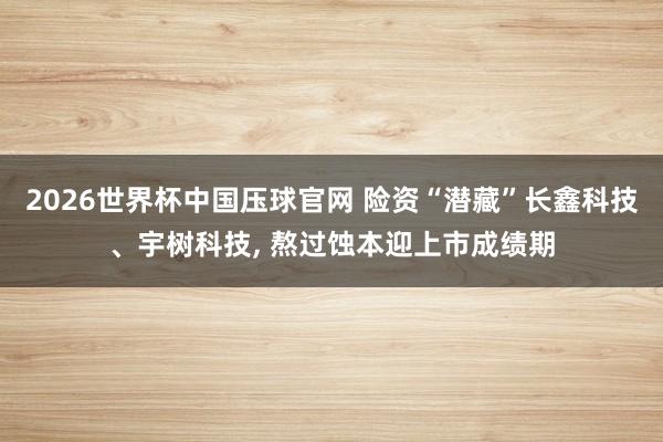2026世界杯中国压球官网 险资“潜藏”长鑫科技、宇树科技， 熬过蚀本迎上市成绩期