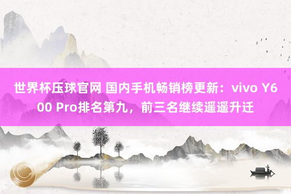 世界杯压球官网 国内手机畅销榜更新：vivo Y600 Pro排名第九，前三名继续遥遥升迁