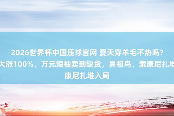 2026世界杯中国压球官网 夏天穿羊毛不热吗？成交大涨100%、万元短袖卖到缺货，鼻祖鸟、索康尼扎堆入局