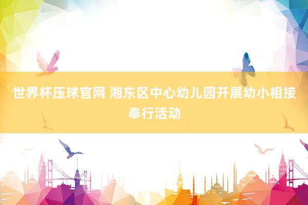 世界杯压球官网 湘东区中心幼儿园开展幼小相接奉行活动