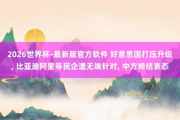 2026世界杯-最新版官方软件 好意思国打压升级， 比亚迪阿里等民企遭无端针对， 中方缔结表态
