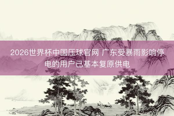 2026世界杯中国压球官网 广东受暴雨影响停电的用户已基本复原供电