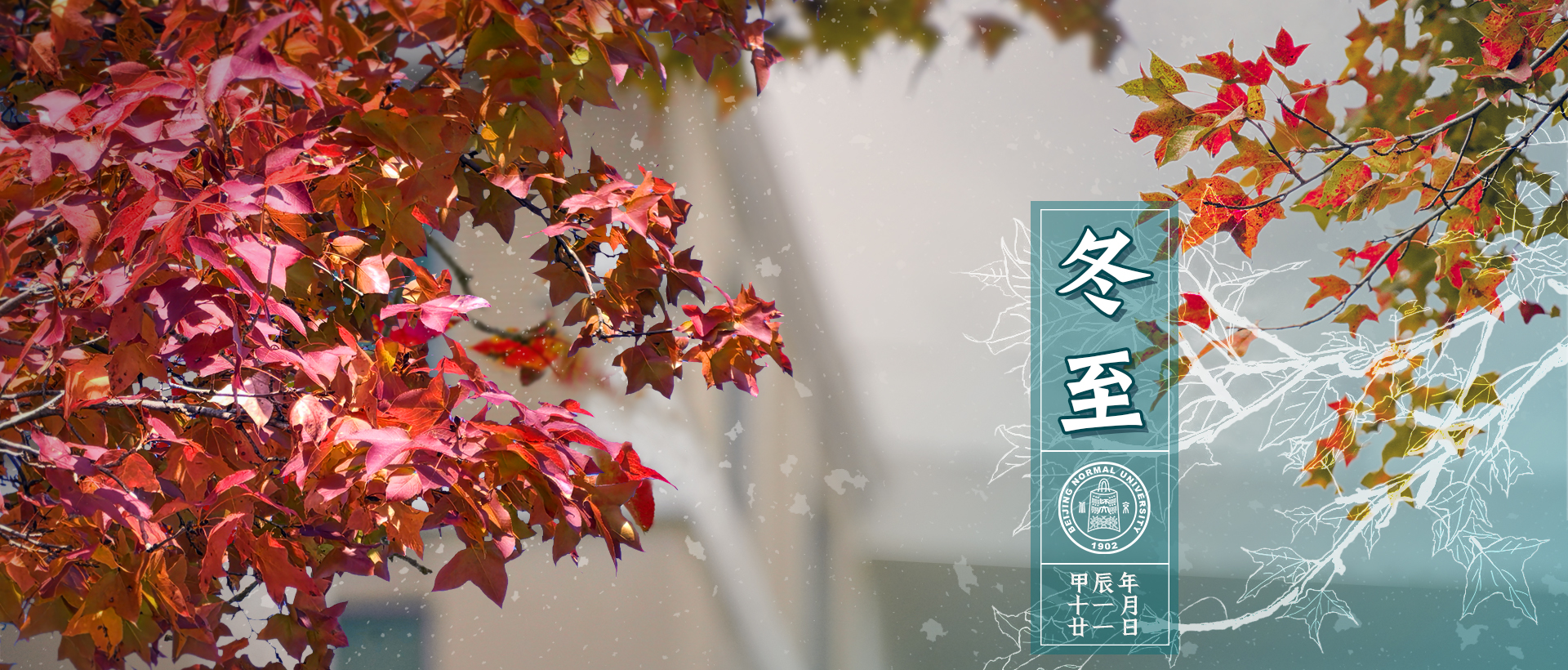 yL23411永利官网登录