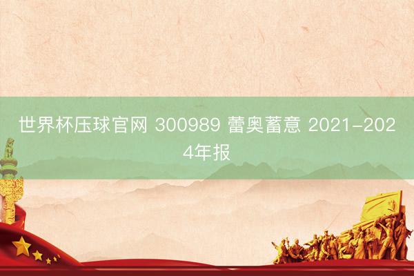 世界杯压球官网 300989 蕾奥蓄意 2021-2024年报
